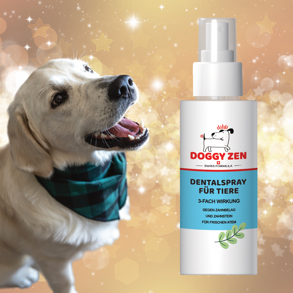 ZAHN-OHREN-AUGENPFLEGE-DOGGY-ZEN