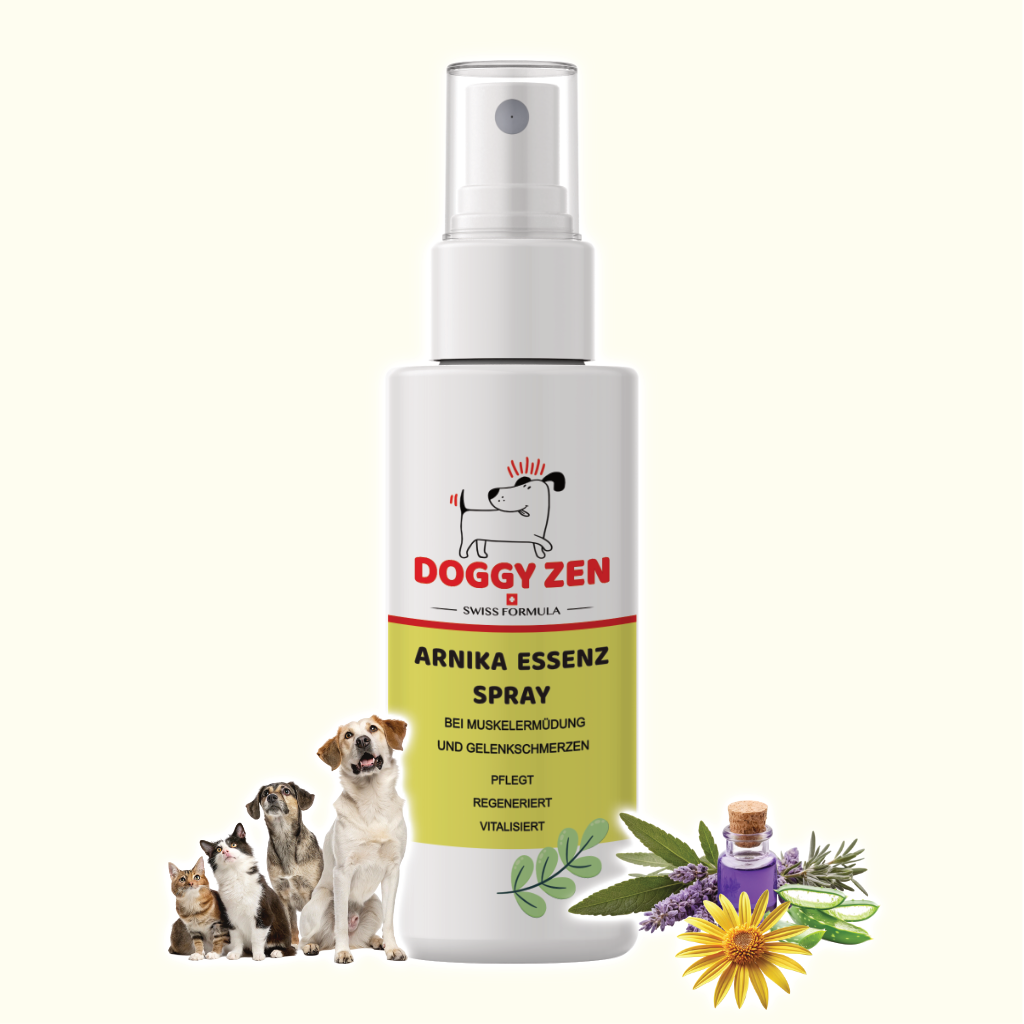 ARNIKA ESSENZ SPRAY - MUSKEL UND GELENKREGENERATION - 250 ml