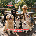 ZAHNSPRAY - DENTALSPRAY FÜR TIERE - 100 ml