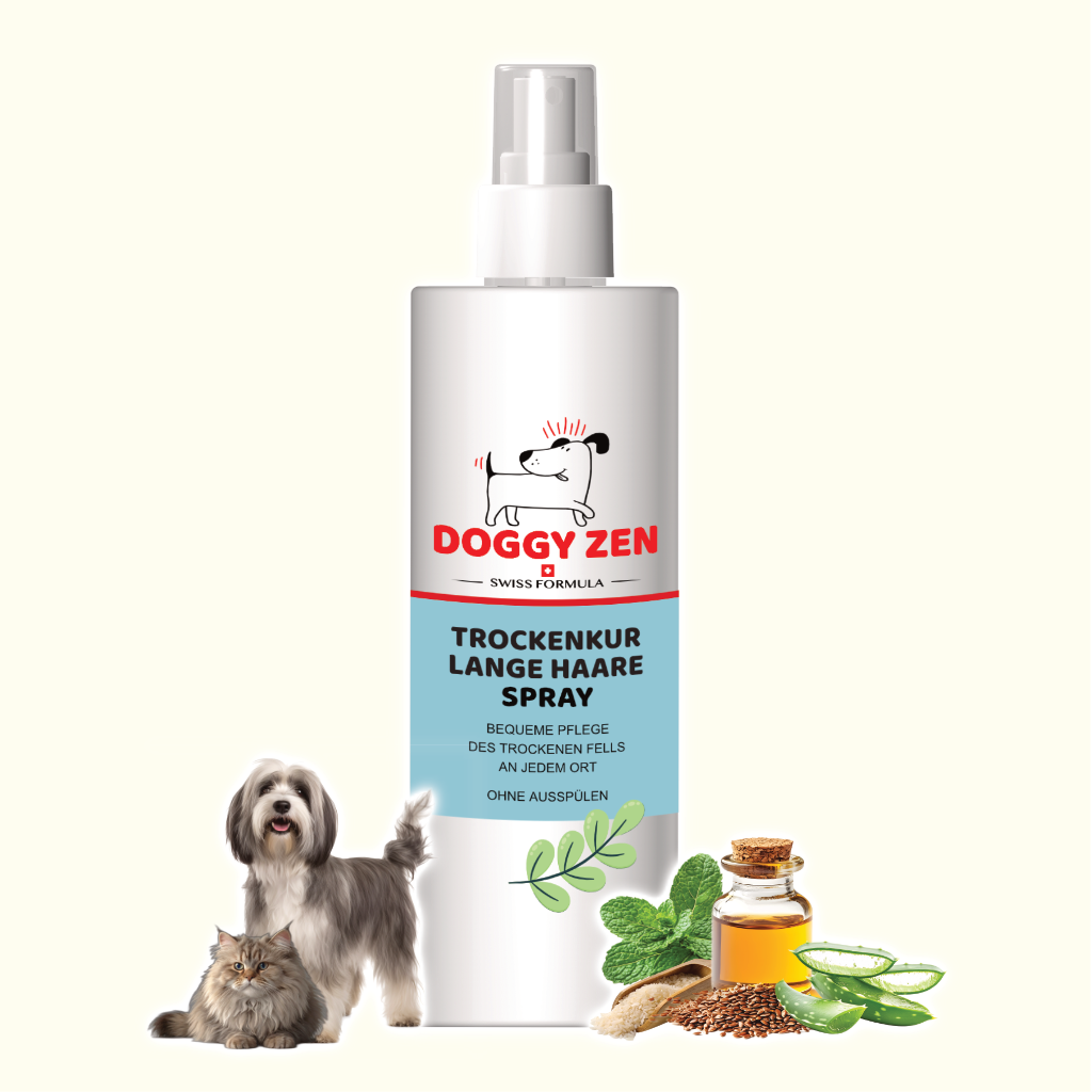 CONDITIONER - TROCKENKUR SPRAY LANGE HAARE - OHNE AUSSPÜLEN - 250 ml