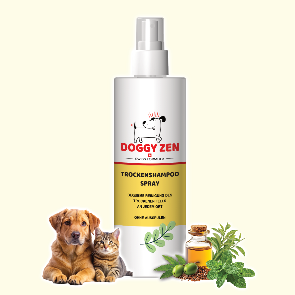 SHAMPOO - TROCKENSHAMPOO SPRAY - OHNE AUSSPÜLEN - 250 ml