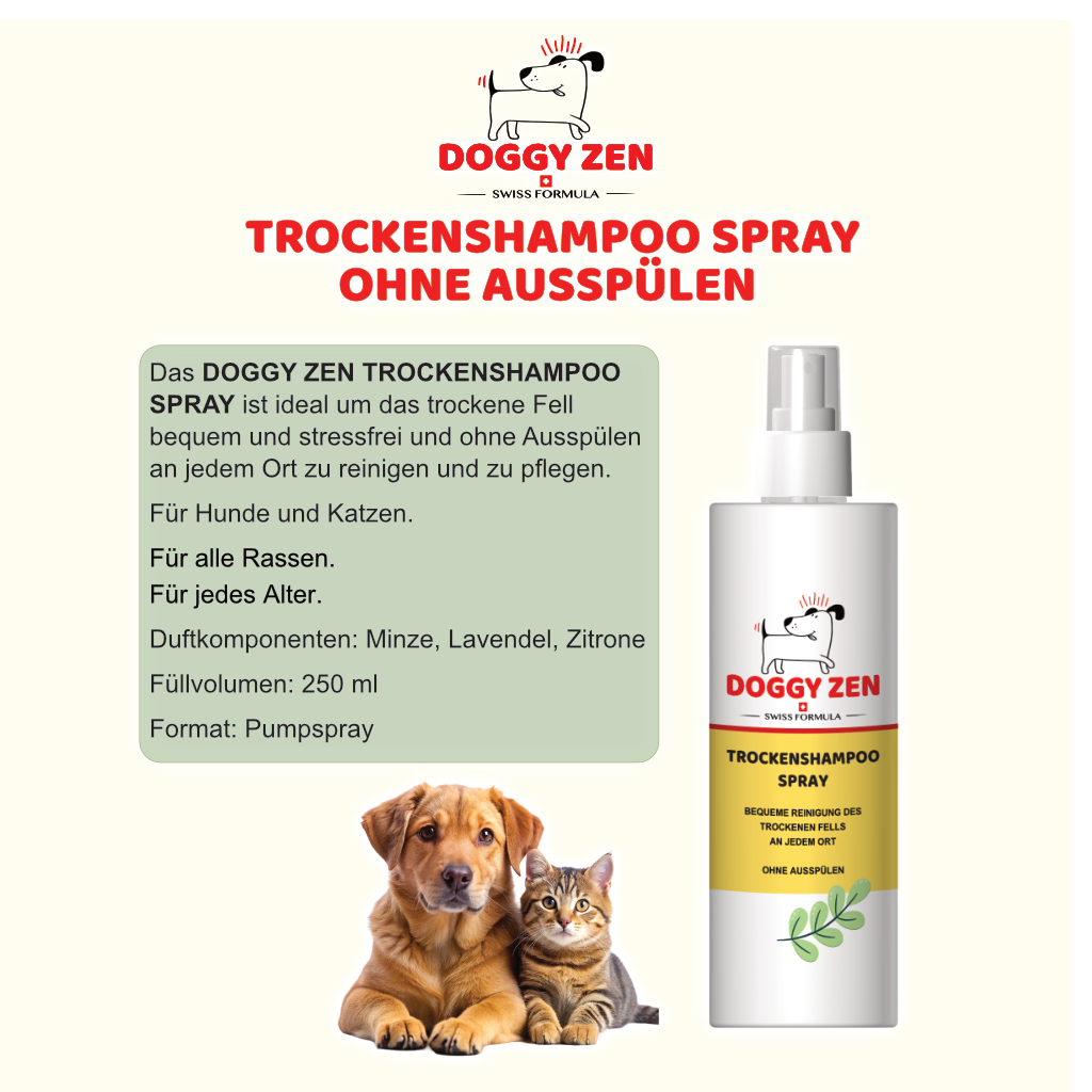 SHAMPOO - TROCKENSHAMPOO SPRAY - OHNE AUSSPÜLEN - 250 ml