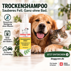 SHAMPOO - TROCKENSHAMPOO SPRAY - OHNE AUSSPÜLEN - 250 ml